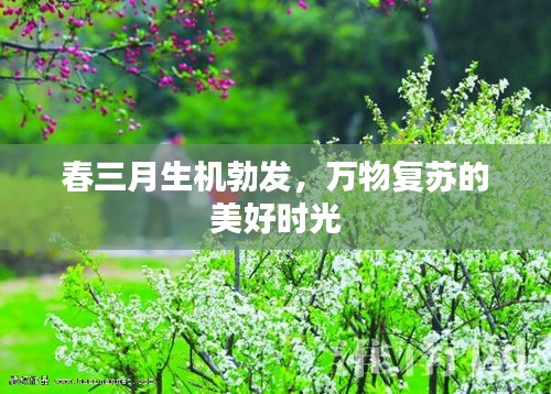 春三月生機(jī)勃發(fā)，萬(wàn)物復(fù)蘇的美好時(shí)光
