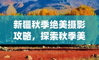 新疆秋季絕美攝影攻略，探索秋季美景，留下獨特記憶
