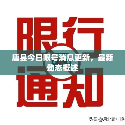 唐縣今日限號消息更新，最新動態(tài)概述