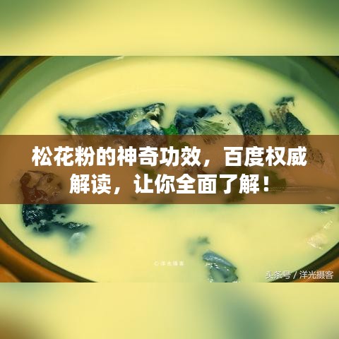 松花粉的神奇功效，百度權(quán)威解讀，讓你全面了解！