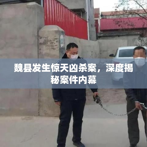 魏縣發(fā)生驚天兇殺案，深度揭秘案件內(nèi)幕