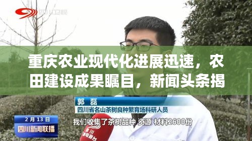 重慶農(nóng)業(yè)現(xiàn)代化進(jìn)展迅速，農(nóng)田建設(shè)成果矚目，新聞?lì)^條揭示最新動(dòng)態(tài)