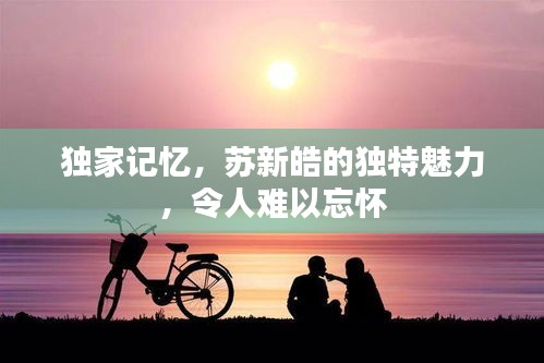 獨家記憶，蘇新皓的獨特魅力，令人難以忘懷