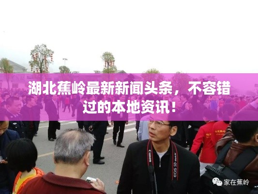 湖北蕉嶺最新新聞頭條，不容錯過的本地資訊！