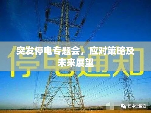 突發(fā)停電專題會，應(yīng)對策略及未來展望