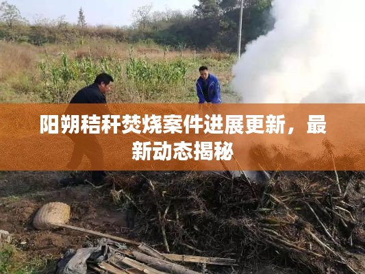 陽(yáng)朔秸稈焚燒案件進(jìn)展更新，最新動(dòng)態(tài)揭秘