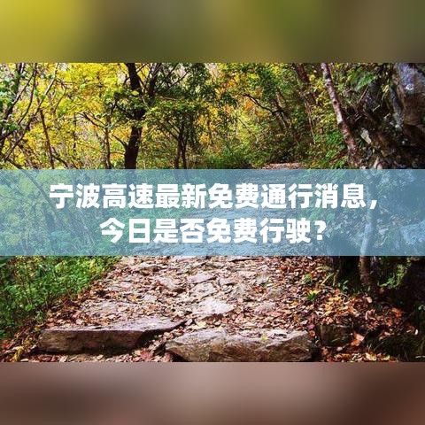 寧波高速最新免費(fèi)通行消息，今日是否免費(fèi)行駛？