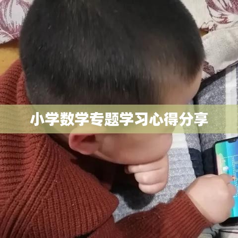小學(xué)數(shù)學(xué)專題學(xué)習(xí)心得分享