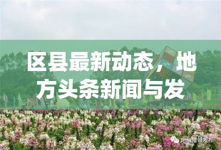 區(qū)縣最新動(dòng)態(tài)，地方頭條新聞與發(fā)展強(qiáng)音聚焦