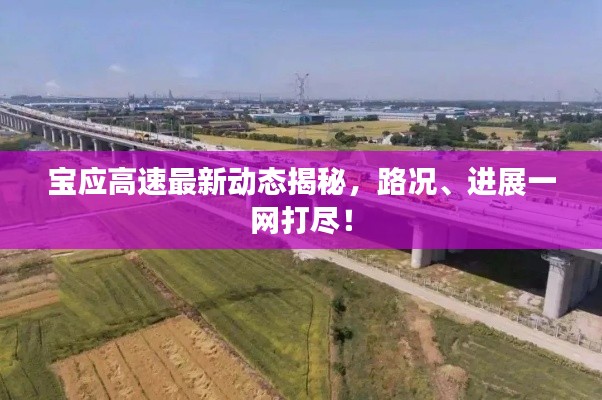 寶應(yīng)高速最新動態(tài)揭秘，路況、進展一網(wǎng)打盡！