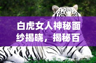 白虎女人神秘面紗揭曉，揭秘百度收錄下的獨特魅力傳說！