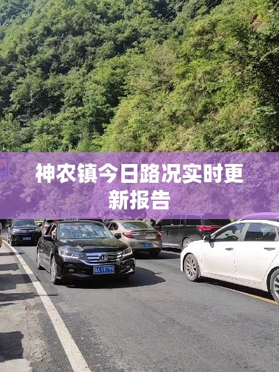 神農(nóng)鎮(zhèn)今日路況實(shí)時更新報(bào)告