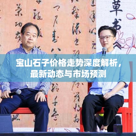 寶山石子價格走勢深度解析，最新動態(tài)與市場預(yù)測