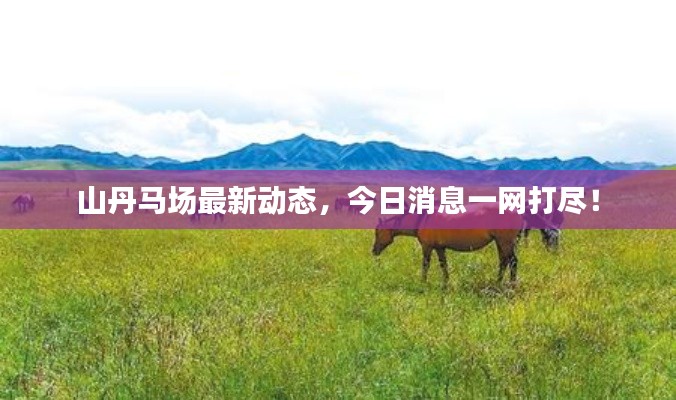 山丹馬場最新動態(tài)，今日消息一網(wǎng)打盡！