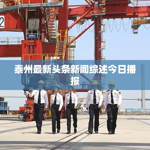 泰州最新頭條新聞綜述今日播報