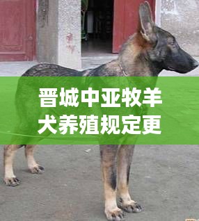 晉城中亞牧羊犬養(yǎng)殖規(guī)定更新，最新消息全面解讀
