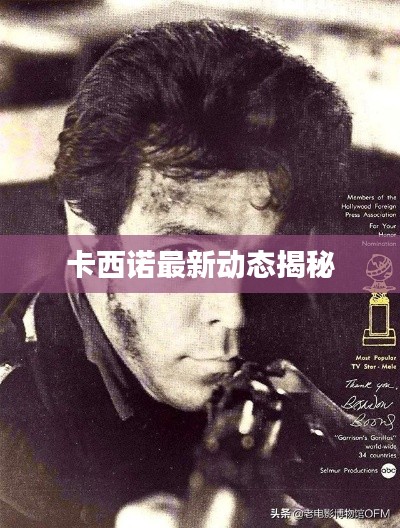 卡西諾最新動態(tài)揭秘