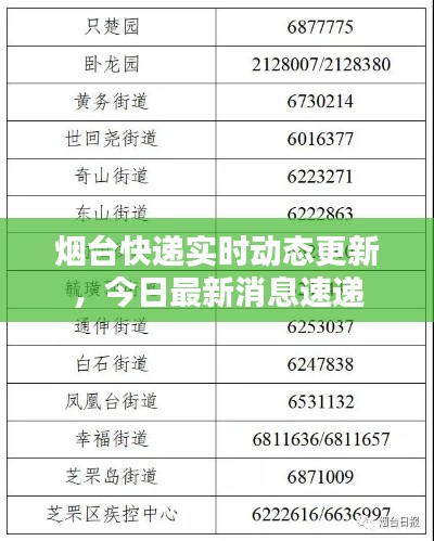 煙臺(tái)快遞實(shí)時(shí)動(dòng)態(tài)更新，今日最新消息速遞