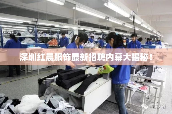 深圳紅晨服飾最新招聘內幕大揭秘！