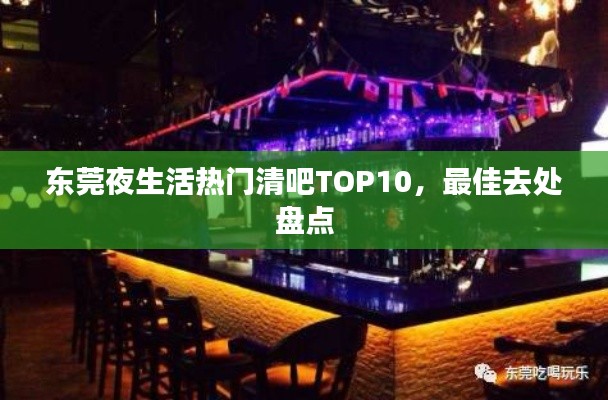 東莞夜生活熱門清吧TOP10，最佳去處盤點