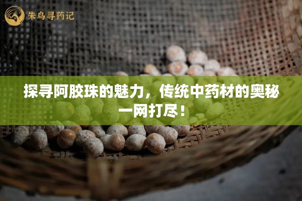 探尋阿膠珠的魅力，傳統(tǒng)中藥材的奧秘一網(wǎng)打盡！