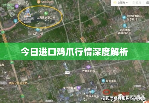 今日進(jìn)口雞爪行情深度解析