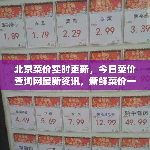 北京菜價實時更新，今日菜價查詢網(wǎng)最新資訊，新鮮菜價一手掌握