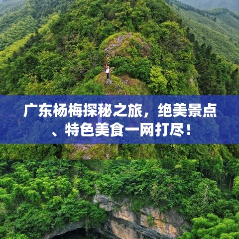 廣東楊梅探秘之旅，絕美景點、特色美食一網(wǎng)打盡！