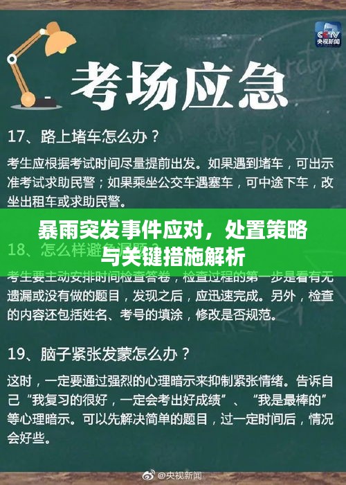 暴雨突發(fā)事件應(yīng)對(duì)，處置策略與關(guān)鍵措施解析
