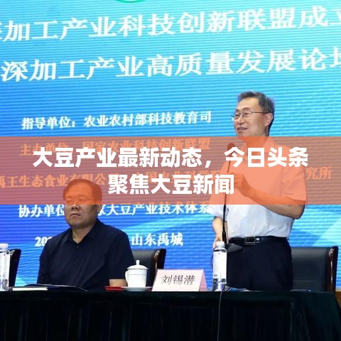 大豆產(chǎn)業(yè)最新動(dòng)態(tài)，今日頭條聚焦大豆新聞