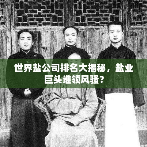 世界鹽公司排名大揭秘，鹽業(yè)巨頭誰領(lǐng)風(fēng)騷？