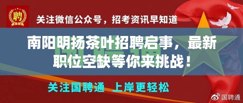 南陽明揚(yáng)茶葉招聘啟事，最新職位空缺等你來挑戰(zhàn)！