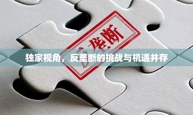 獨家視角，反壟斷的挑戰(zhàn)與機(jī)遇并存