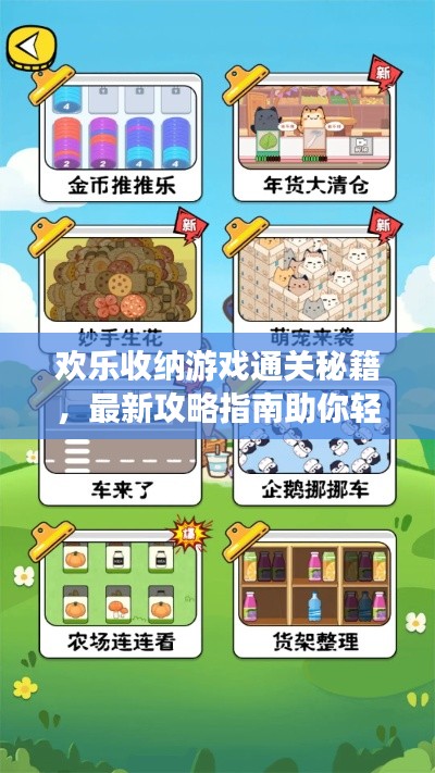 歡樂(lè)收納游戲通關(guān)秘籍，最新攻略指南助你輕松過(guò)關(guān)！