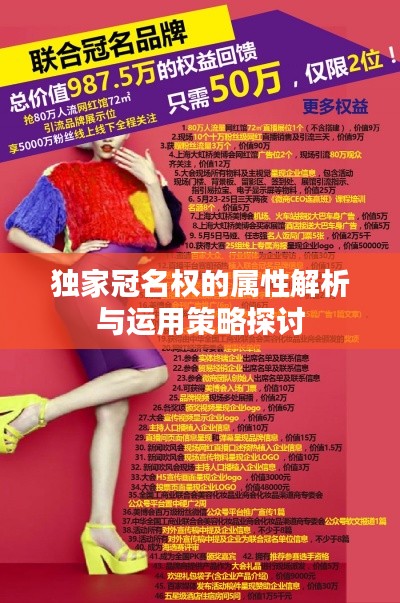 獨家冠名權的屬性解析與運用策略探討