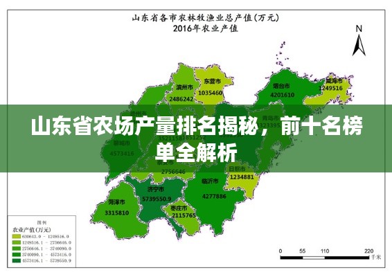 山東省農(nóng)場產(chǎn)量排名揭秘，前十名榜單全解析