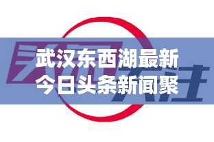 武漢東西湖最新今日頭條新聞聚焦