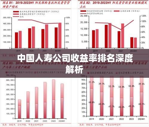 中國人壽公司收益率排名深度解析