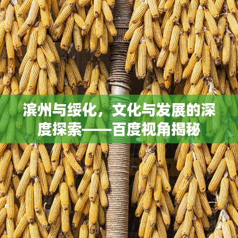 濱州與綏化，文化與發(fā)展的深度探索——百度視角揭秘