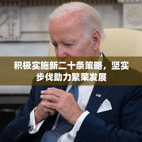 積極實(shí)施新二十條策略，堅(jiān)實(shí)步伐助力繁榮發(fā)展