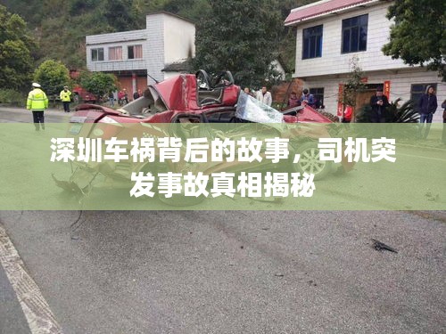 深圳車(chē)禍背后的故事，司機(jī)突發(fā)事故真相揭秘