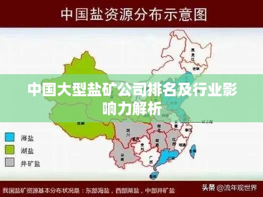 中國(guó)大型鹽礦公司排名及行業(yè)影響力解析