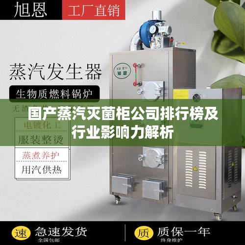 國(guó)產(chǎn)蒸汽滅菌柜公司排行榜及行業(yè)影響力解析