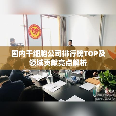 國內(nèi)干細(xì)胞公司排行榜TOP及領(lǐng)域貢獻(xiàn)亮點解析