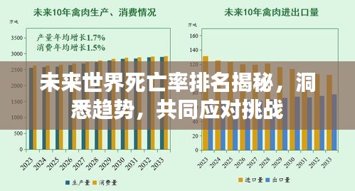 未來世界死亡率排名揭秘，洞悉趨勢，共同應(yīng)對挑戰(zhàn)