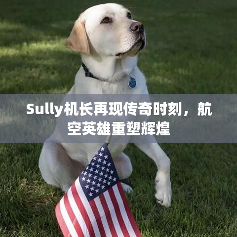 Sully機(jī)長(zhǎng)再現(xiàn)傳奇時(shí)刻，航空英雄重塑輝煌