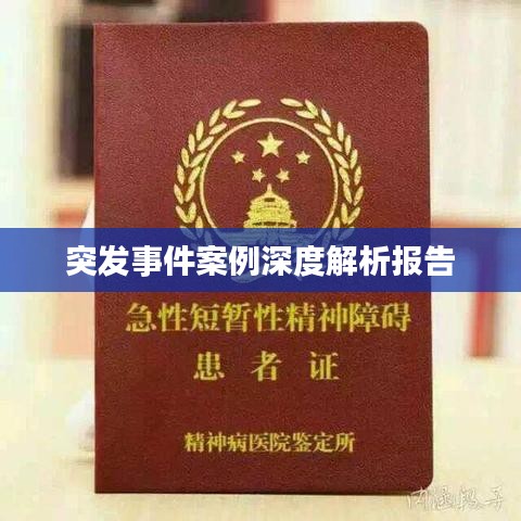 突發(fā)事件案例深度解析報(bào)告