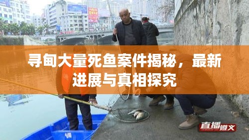 尋甸大量死魚案件揭秘，最新進(jìn)展與真相探究