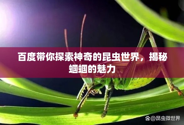 百度帶你探索神奇的昆蟲(chóng)世界，揭秘蟈蟈的魅力