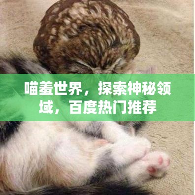 喵羞世界，探索神秘領(lǐng)域，百度熱門推薦